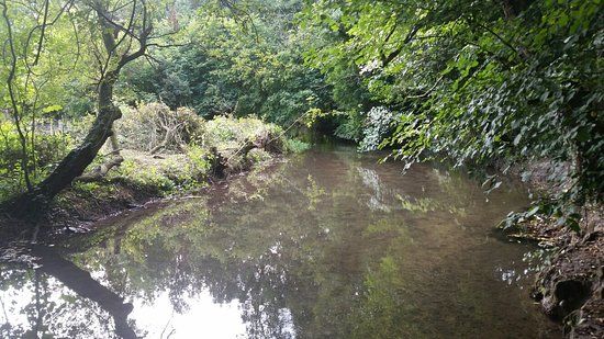 Moor Copse Nature Reserve